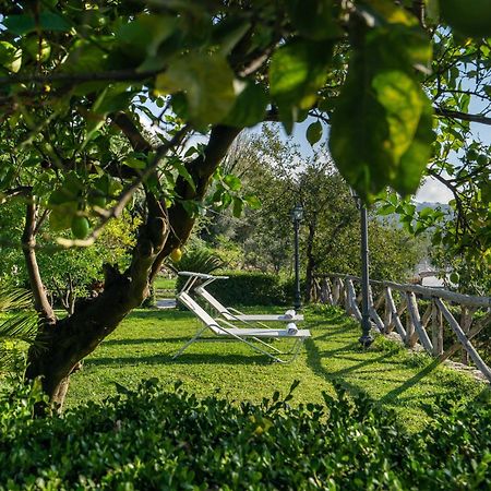 Villa Prota Vico Equense Eksteriør bilde